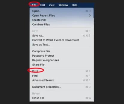 Inception - MacOS Yazıcı Sürücüsüne Mono Ön Ayarı Ekleme