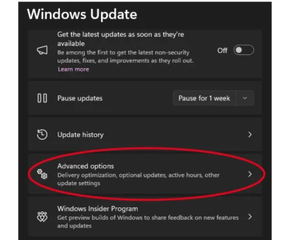„Inception“ – „Windows“ atnaujinimų vadovas